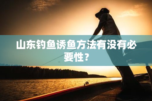 山东钓鱼诱鱼方法有没有必要性？