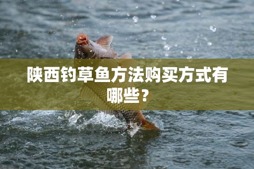 陕西钓草鱼方法购买方式有哪些？