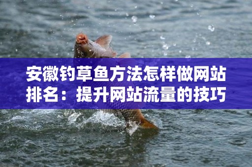 安徽钓草鱼方法怎样做网站排名：提升网站流量的技巧与策略