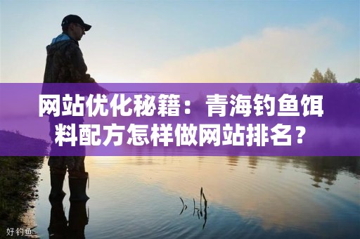 网站优化秘籍：青海钓鱼饵料配方怎样做网站排名？