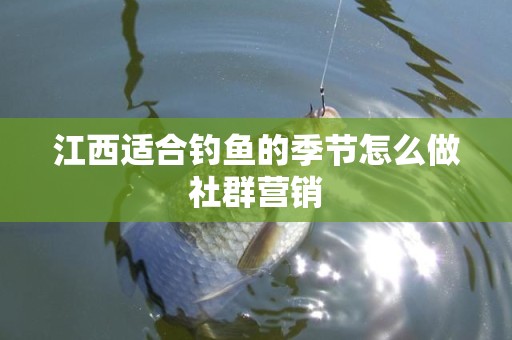 江西适合钓鱼的季节怎么做社群营销