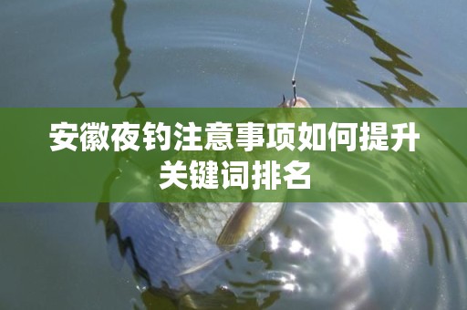 安徽夜钓注意事项如何提升关键词排名