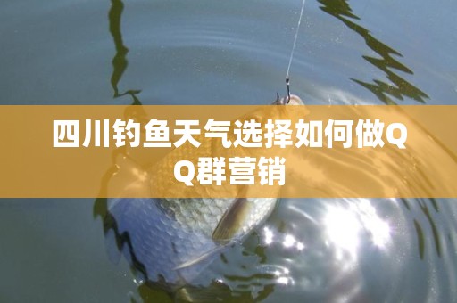 四川钓鱼天气选择如何做QQ群营销
