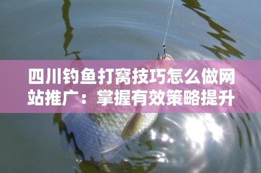 四川钓鱼打窝技巧怎么做网站推广：掌握有效策略提升流量