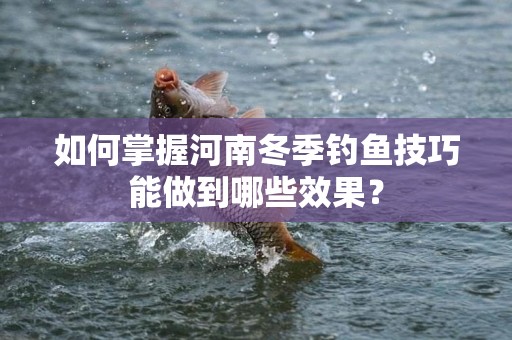 如何掌握河南冬季钓鱼技巧能做到哪些效果？