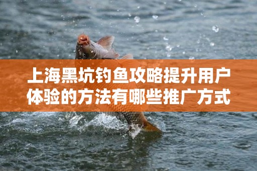 上海黑坑钓鱼攻略提升用户体验的方法有哪些推广方式有哪些