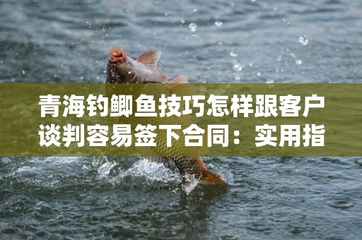 青海钓鲫鱼技巧怎样跟客户谈判容易签下合同：实用指南