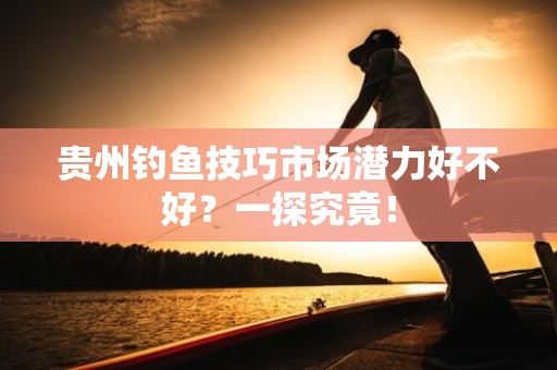 贵州钓鱼技巧市场潜力好不好？一探究竟！