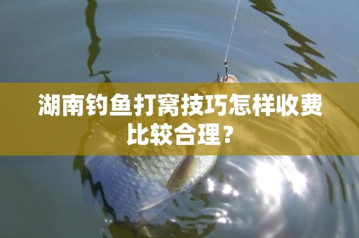 湖南钓鱼打窝技巧怎样收费比较合理？