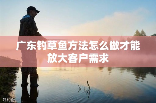 广东钓草鱼方法怎么做才能放大客户需求