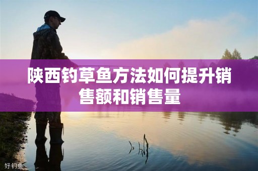陕西钓草鱼方法如何提升销售额和销售量
