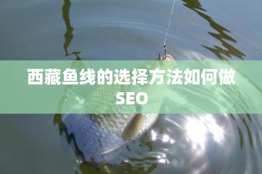 西藏鱼线的选择方法如何做SEO