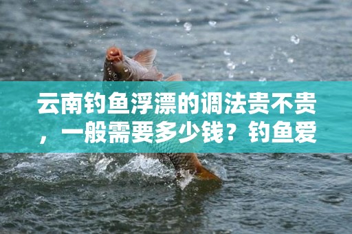 云南钓鱼浮漂的调法贵不贵，一般需要多少钱？钓鱼爱好者必读！