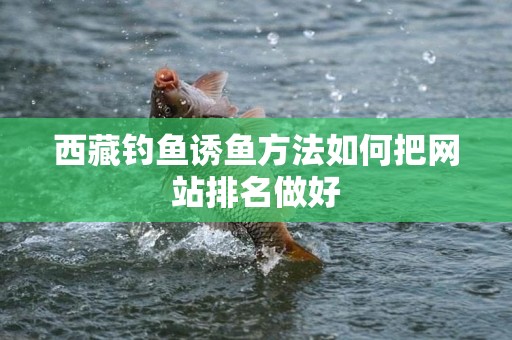 西藏钓鱼诱鱼方法如何把网站排名做好