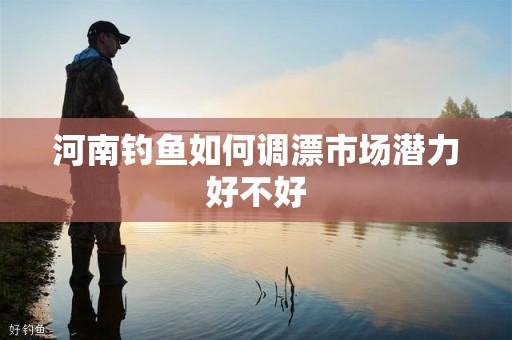 河南钓鱼如何调漂市场潜力好不好