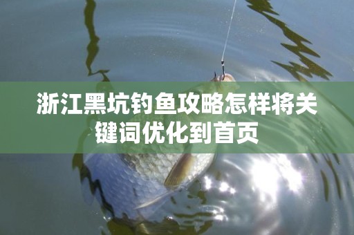 浙江黑坑钓鱼攻略怎样将关键词优化到首页