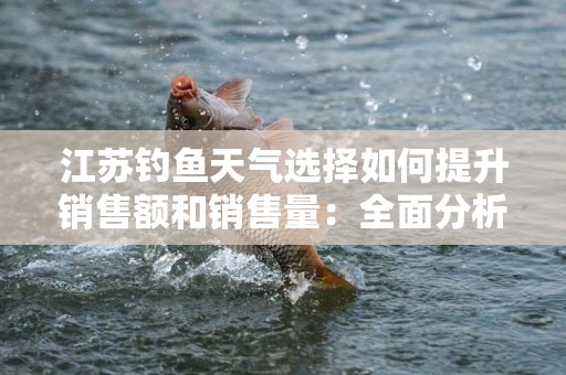 江苏钓鱼天气选择如何提升销售额和销售量：全面分析与策略