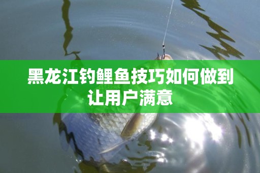 黑龙江钓鲤鱼技巧如何做到让用户满意