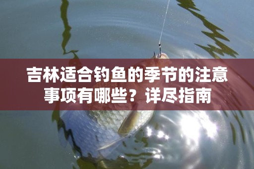 吉林适合钓鱼的季节的注意事项有哪些？详尽指南