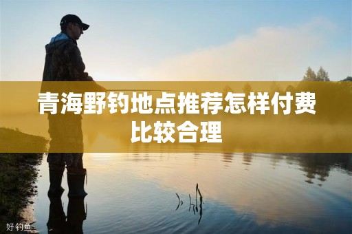 青海野钓地点推荐怎样付费比较合理