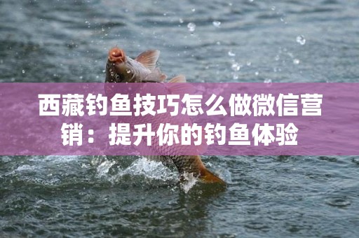 西藏钓鱼技巧怎么做微信营销：提升你的钓鱼体验