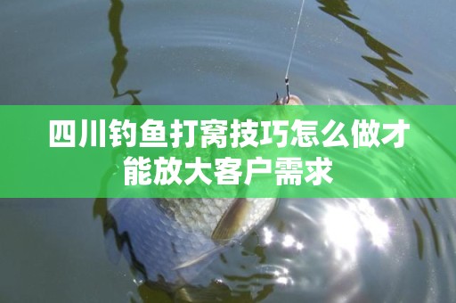 四川钓鱼打窝技巧怎么做才能放大客户需求