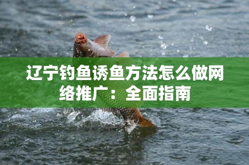 辽宁钓鱼诱鱼方法怎么做网络推广：全面指南