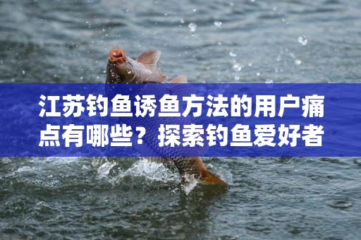 江苏钓鱼诱鱼方法的用户痛点有哪些？探索钓鱼爱好者面临的挑战