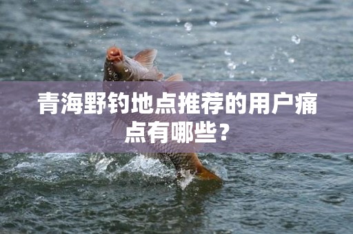 青海野钓地点推荐的用户痛点有哪些？