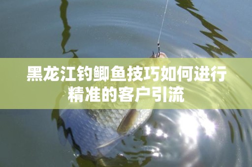 黑龙江钓鲫鱼技巧如何进行精准的客户引流
