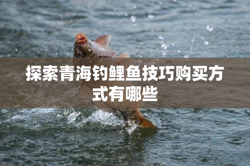 探索青海钓鲤鱼技巧购买方式有哪些