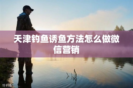 天津钓鱼诱鱼方法怎么做微信营销