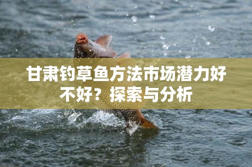 甘肃钓草鱼方法市场潜力好不好？探索与分析