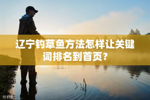 辽宁钓草鱼方法怎样让关键词排名到首页？