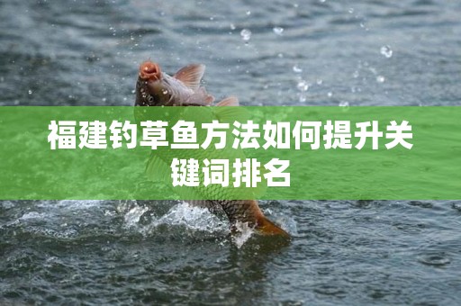 福建钓草鱼方法如何提升关键词排名