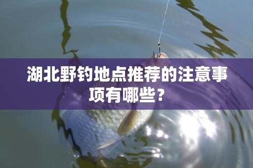 湖北野钓地点推荐的注意事项有哪些？