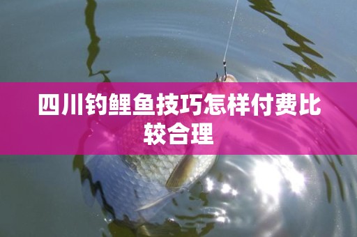 四川钓鲤鱼技巧怎样付费比较合理