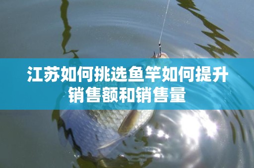 江苏如何挑选鱼竿如何提升销售额和销售量