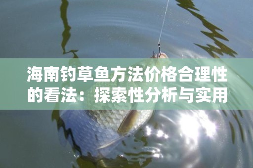 海南钓草鱼方法价格合理性的看法：探索性分析与实用建议