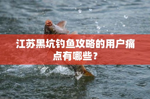 江苏黑坑钓鱼攻略的用户痛点有哪些？