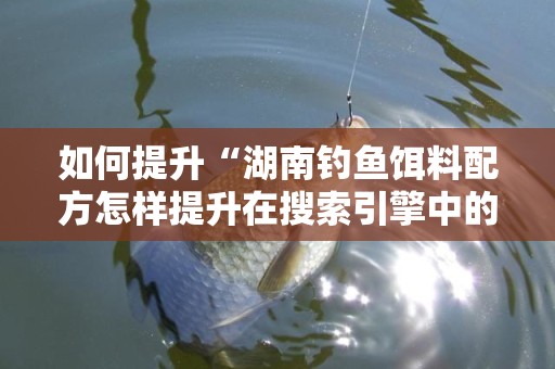 如何提升“湖南钓鱼饵料配方怎样提升在搜索引擎中的排名”的搜索引擎排名
