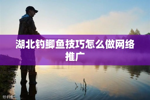 湖北钓鲫鱼技巧怎么做网络推广