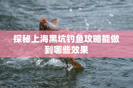 探秘上海黑坑钓鱼攻略能做到哪些效果