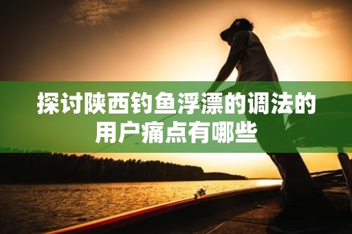 探讨陕西钓鱼浮漂的调法的用户痛点有哪些