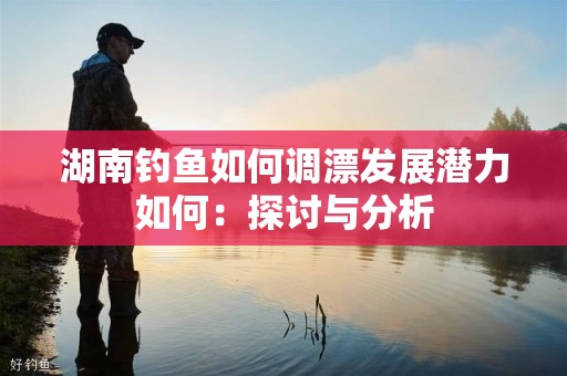湖南钓鱼如何调漂发展潜力如何：探讨与分析