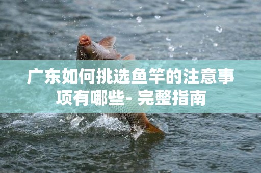 广东如何挑选鱼竿的注意事项有哪些- 完整指南