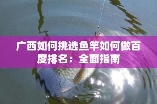 广西如何挑选鱼竿如何做百度排名：全面指南
