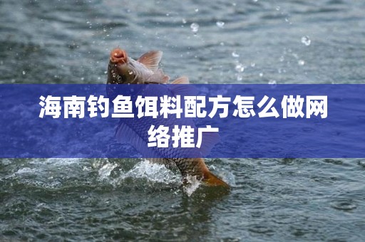 海南钓鱼饵料配方怎么做网络推广