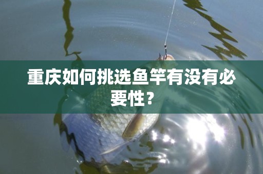 重庆如何挑选鱼竿有没有必要性？