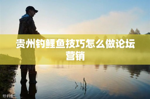 贵州钓鲤鱼技巧怎么做论坛营销